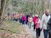 Die Odenwaldklübler entlang des Dachsberges