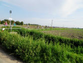 Im Zickzack führte der Weg durch landwirtschaftlich genutzte Flächen