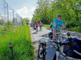 Am Braunshardter Tännchen vorbei führt der Rückweg