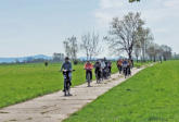 Gegenlichtaufnahme: wer ist wer?