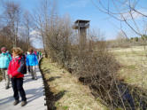 Unterwegs auf Planken durch das Schwarze Moor