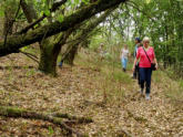 Im Dickicht des Rodelberges unterwegs