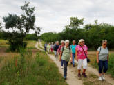 Unterwegs im Schutzgebiet Seichböhl