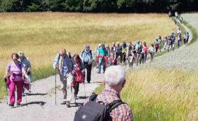 Odenwald-Wanderung : Hammelbach