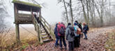Blick auf den Aussichtsstand Schwedensäule