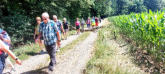 Fröhliches Ausschreiten am Waldrand