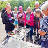 47 Millionen alte Fossilien zum Greifen nahe